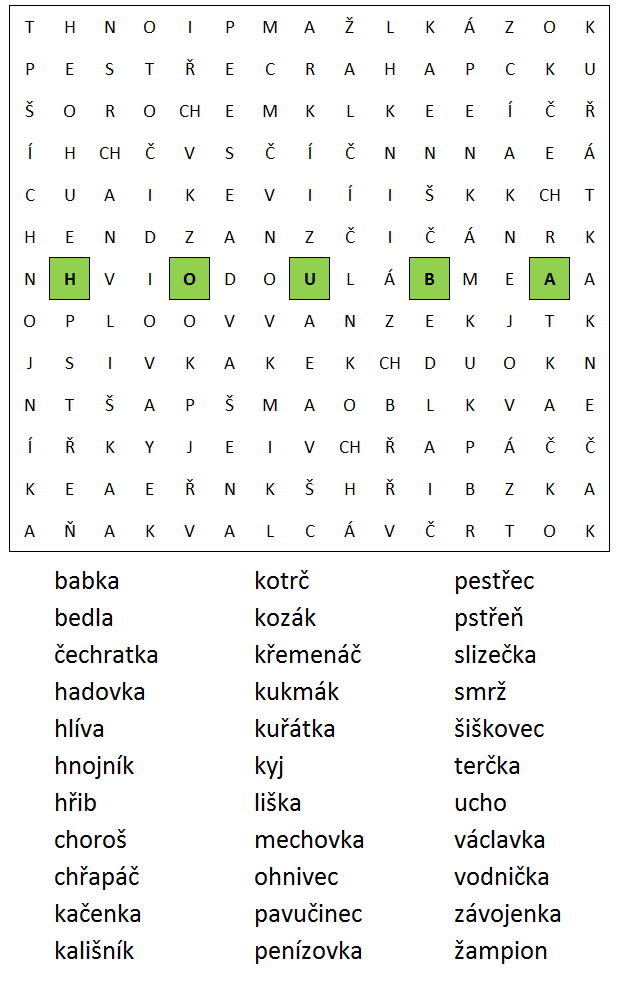 Osmisměrka č. 39